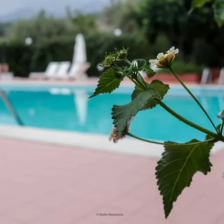 Il Casale Il Sole E La Margherita * Кампофеличе-ди-Роччелла