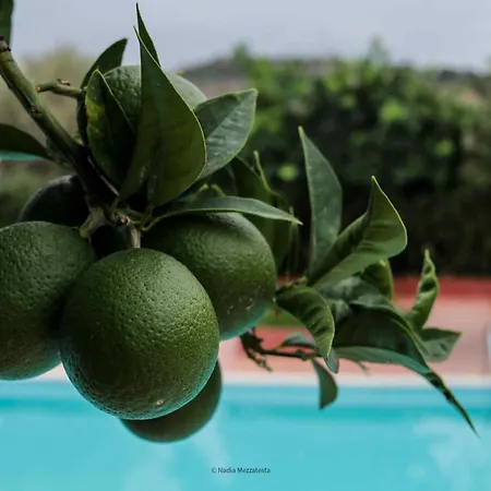 Il Casale Il Sole E La Margherita Alloggio per agriturismo Campofelice Di Roccella