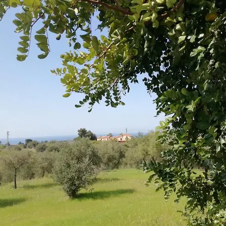 Il Casale Il Sole E La Margherita Кампофеличе-ди-Роччелла