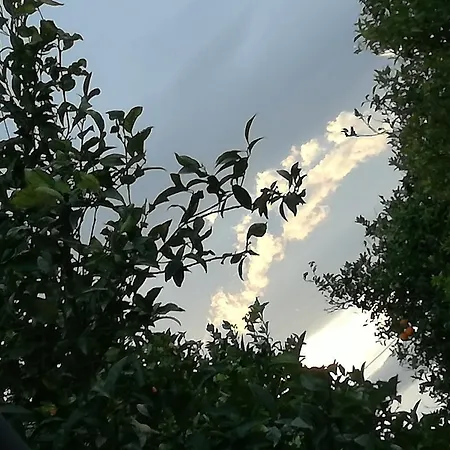Il Casale Il Sole E La Margherita Campofelice Di Roccella